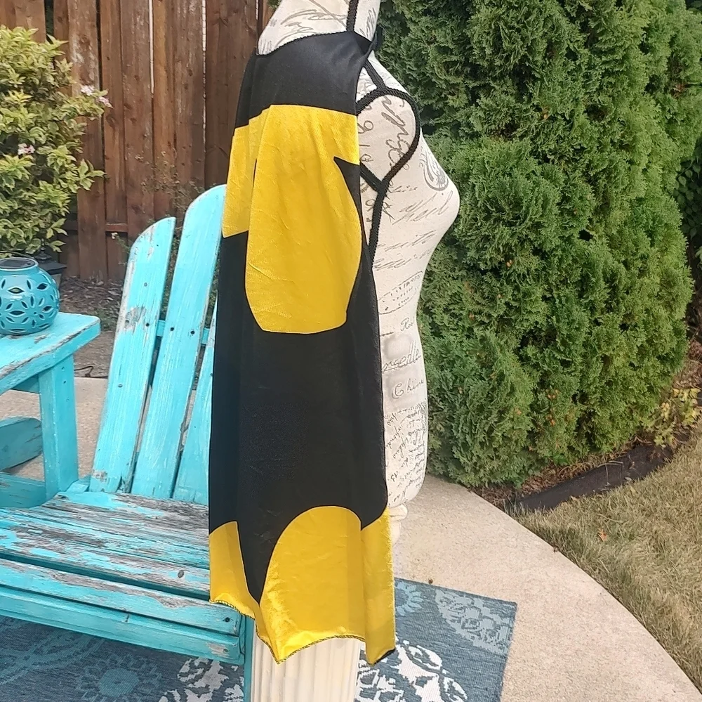 💥3/$20 TWO Six Flags Capes - Superman and Batman!